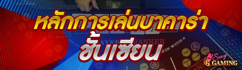 หลักการเล่นบาคาร่า