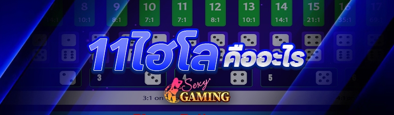 11ไฮโล