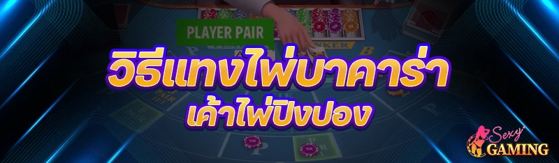 วิธีแทงไพ่บาคาร่า